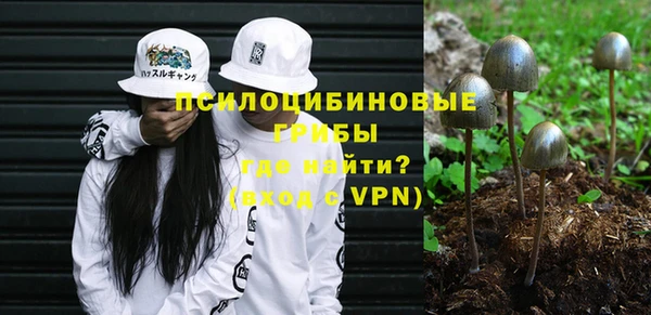синтетический гашиш Касимов