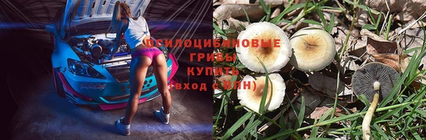 кокс Карпинск