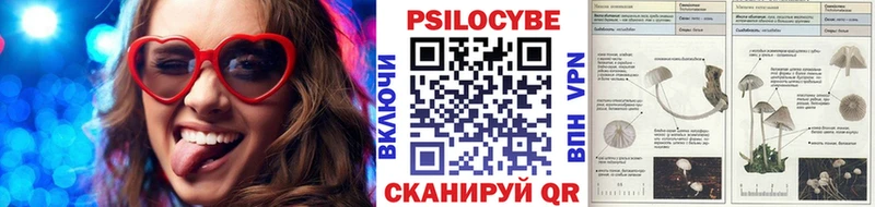 Псилоцибиновые грибы GOLDEN TEACHER Балашов