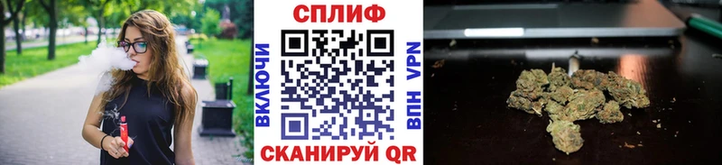 Купить где  Балашов  Шишки марихуана сатива 